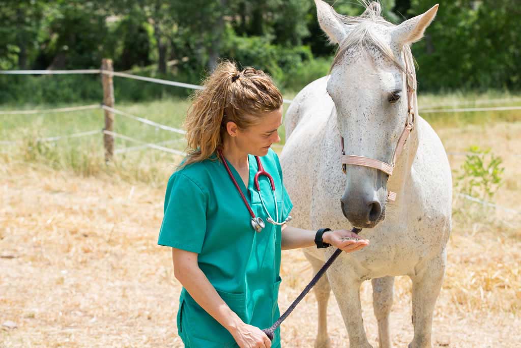 Perché devi sapere quanto pesa il tuo cavallo - Porrini