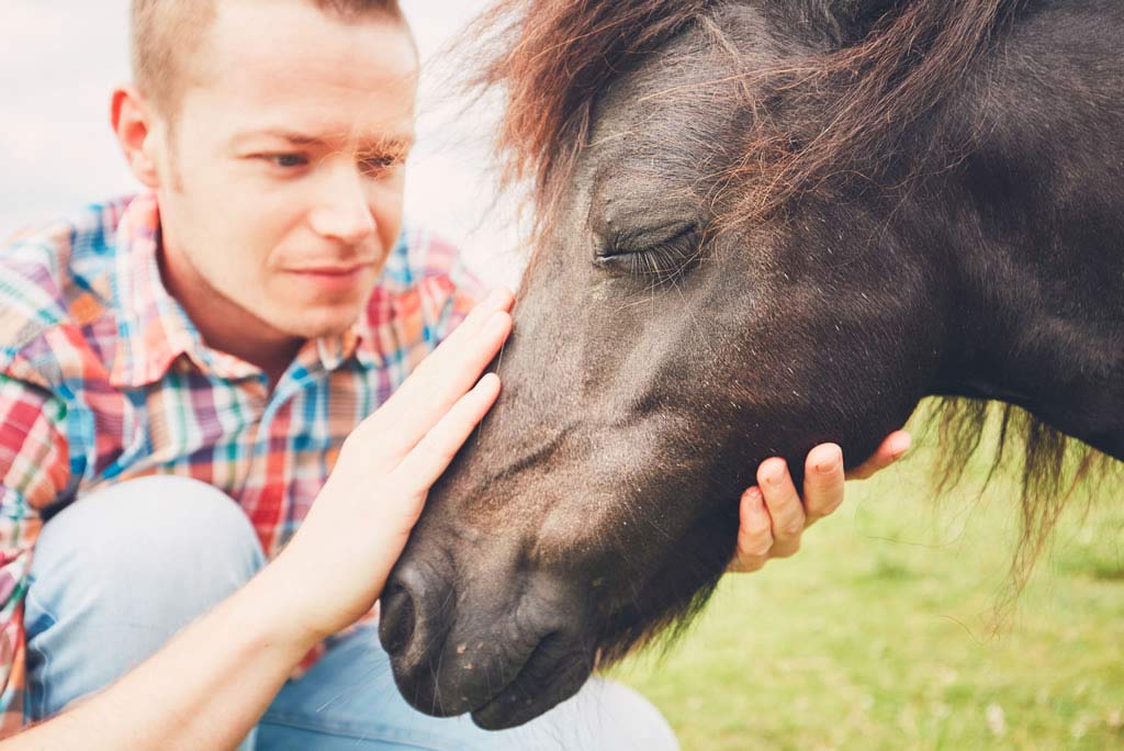 L’effetto mucolitico per cavalli attraverso l’alimentazione - Porrini