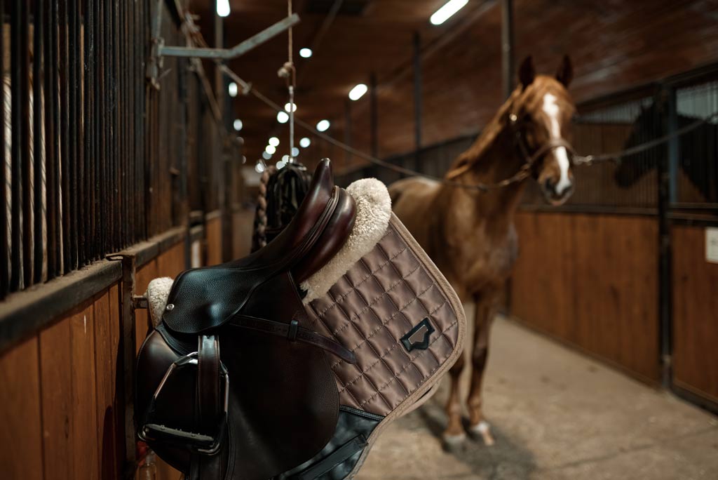 Letame di cavallo. Come smaltire il truciolo del box