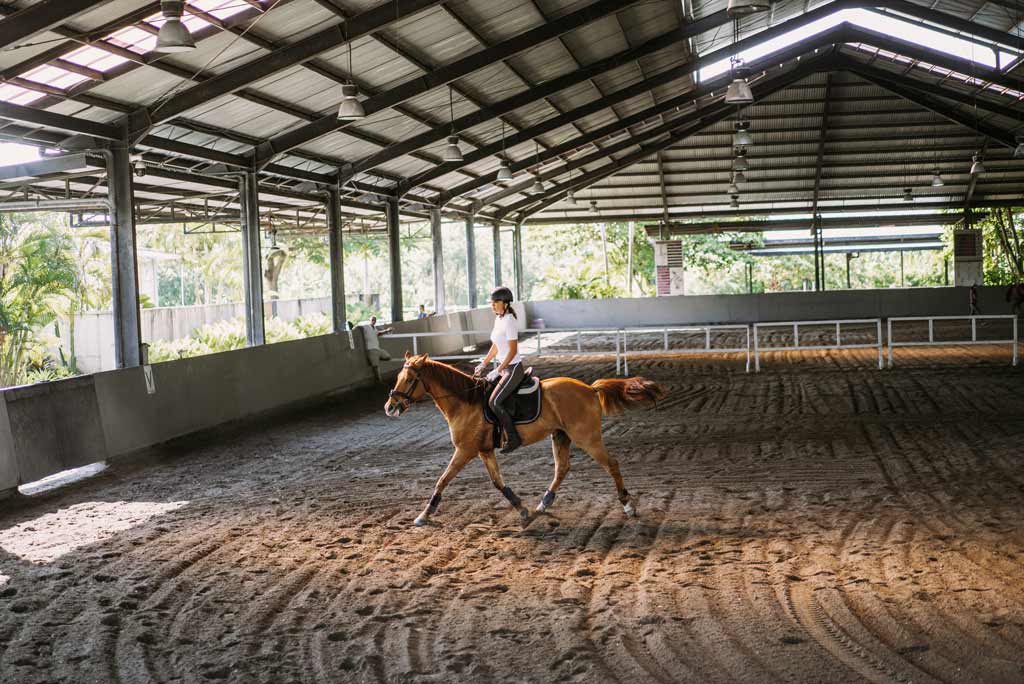 Scuderia cavallo, come scegliere il maneggio