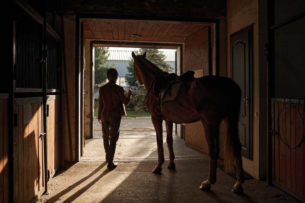 Lettiera per cavalli. Come pulire il box del cavallo?