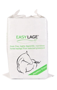 Easy Lage Meadow Grass