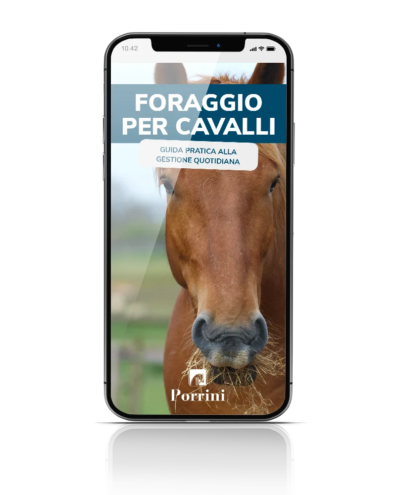 Ottieni la tua copia dell'ebook del Foraggio e benessere del cavallo