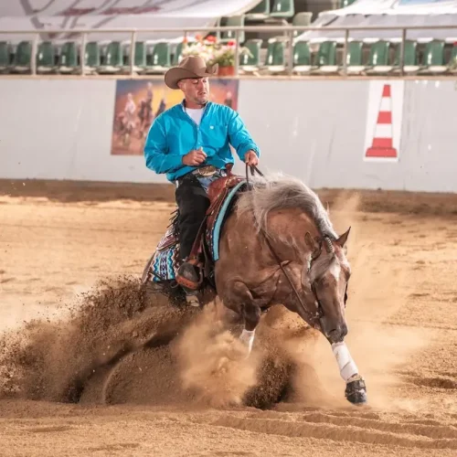 Cowboy su cavallo Quarter Horse esegue uno sliding stop in un'arena di reining, con i posteriori che scivolano nella sabbia e il cavaliere che tiene salde le redini.
