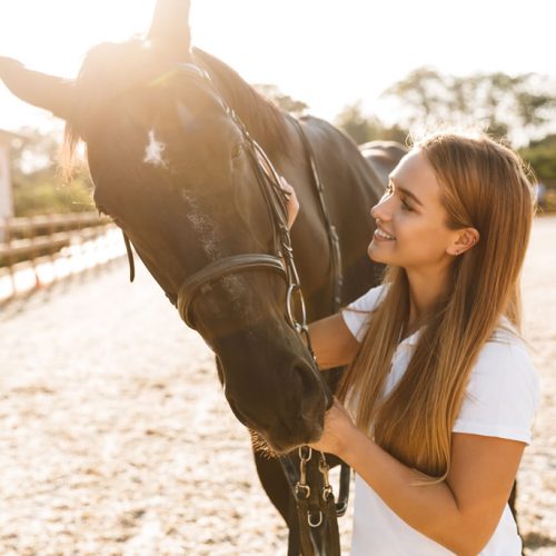 Gli integratori per cavalli a che cosa servono - Porrini